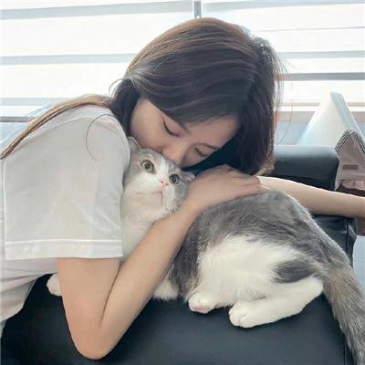 如果这些墙会歌唱