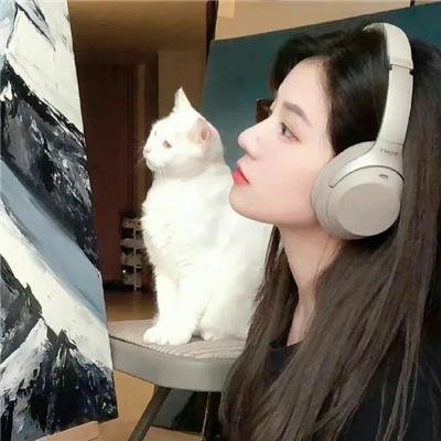 潘尼沃斯第一季